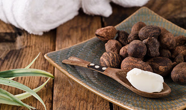 Imperdiet Qui Penatibus