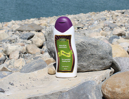 Organic Shea Shampoo and Conditioner Combo Pack